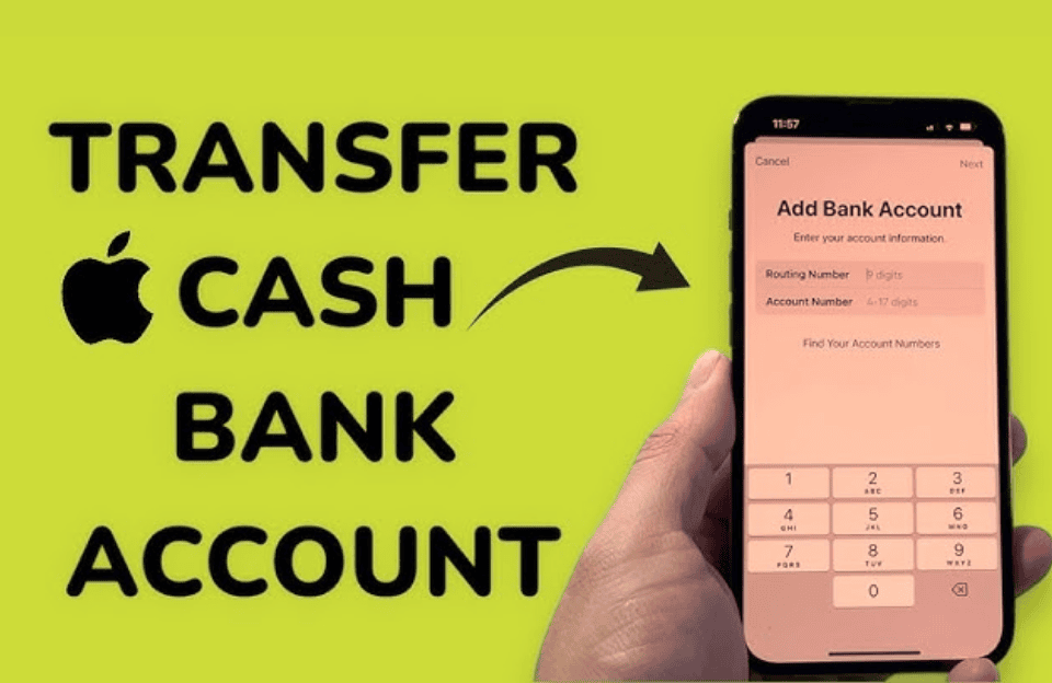 how to transfer apple cash to bank